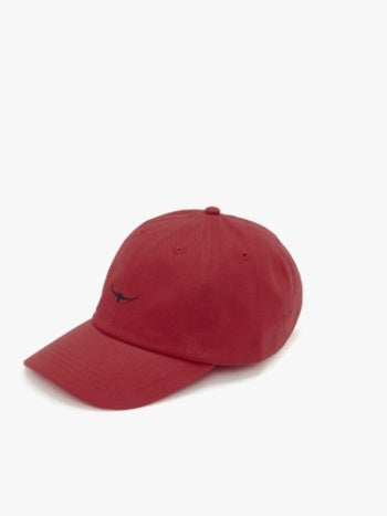 Mini Longhorn Cap